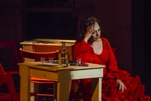 Carmen-Cristina Melis