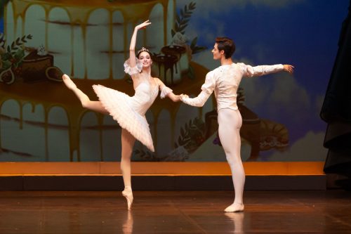 Lo Schiaccianoci © rosellina garbo 2019