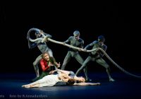 TCBO: LA NUOVA STAGIONE DI DANZA 2019