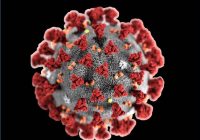 Emergenza epidemiologia da COVID-2019 – Teatro Verdi Trieste